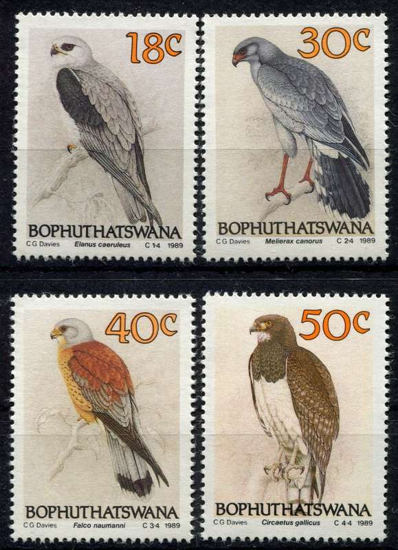 Bophuthatswana - Birds - 1989 - MNH
