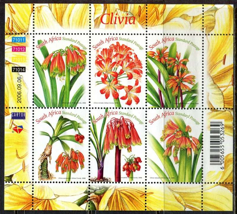 RSA - Sheet of 6 - 2006 - MNH