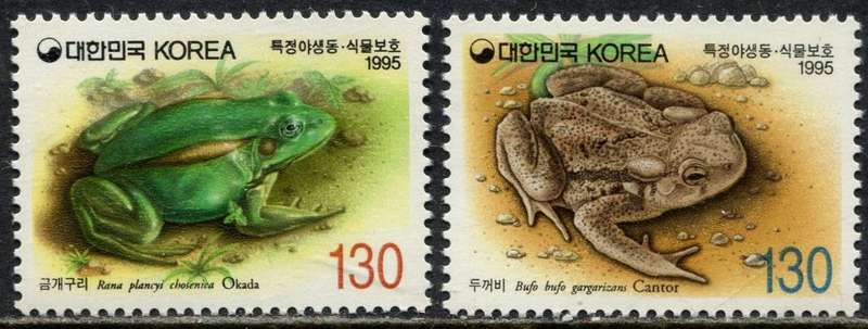 South Korea  Frogs - 1995 - MM