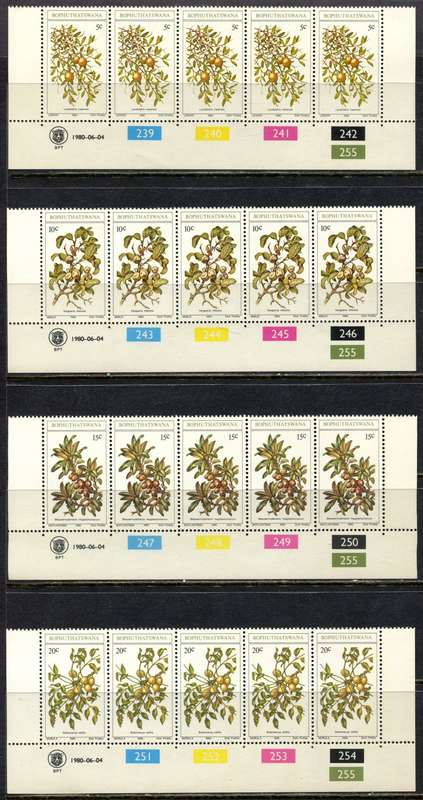 Bophuthatswana - Set of 4 Control Strips 5 - 1980 - MNH
