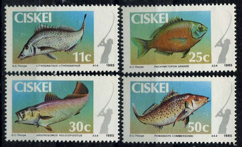 Ciskei - 1985 - MNH