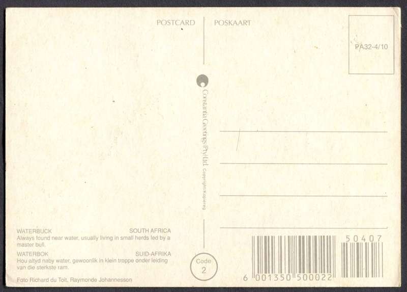 Post Card - Unused