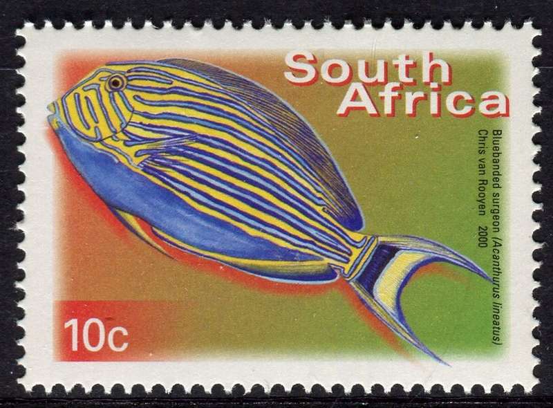 RSA - 2000 - MNH