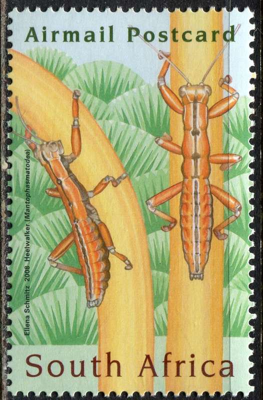 RSA - 2008 - MNH
