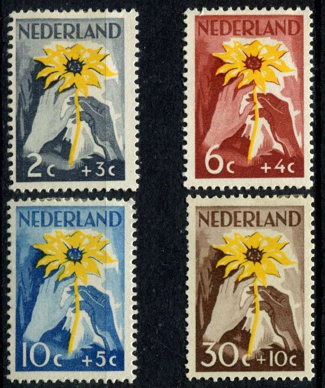 Netherlands - 1949  -  MM