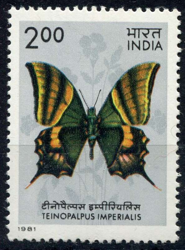 Indian - Butterflies - 1981 - MM