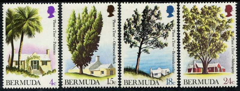 Bermuda - Trees - 1973 - MM