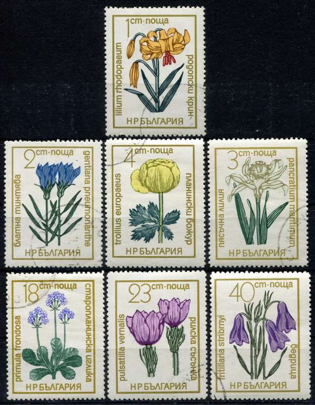 Bulgaria - Flowers - 1972 - Used