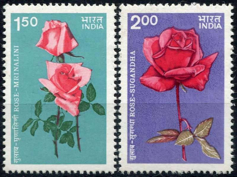 India - Flowers - 1984 - MNH