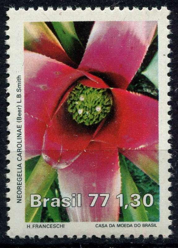 Brazil - Flowers - 1977 - MNH