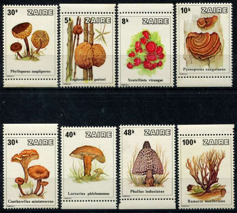 Zaire - Fungi - 1979 - MNH