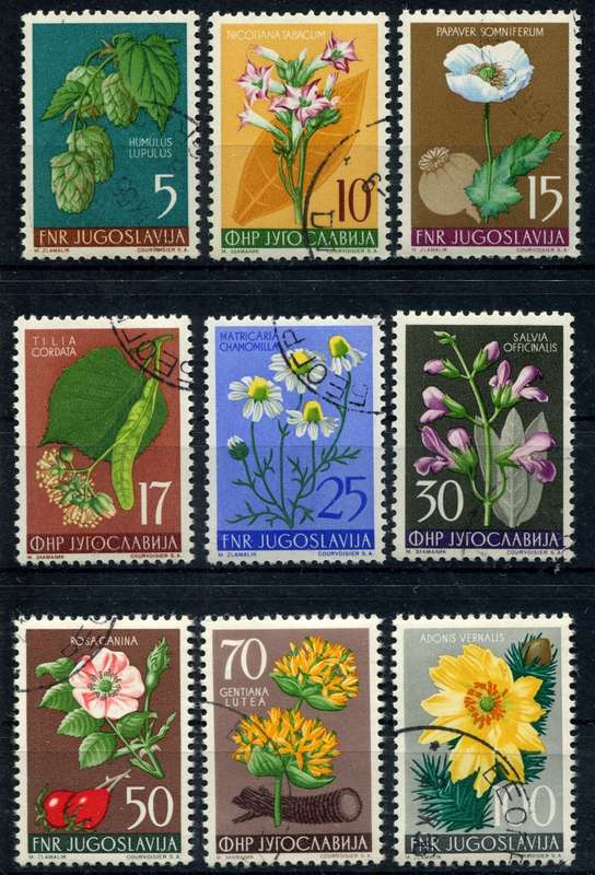 Yugoslavia - Flowers - 1955 - Used