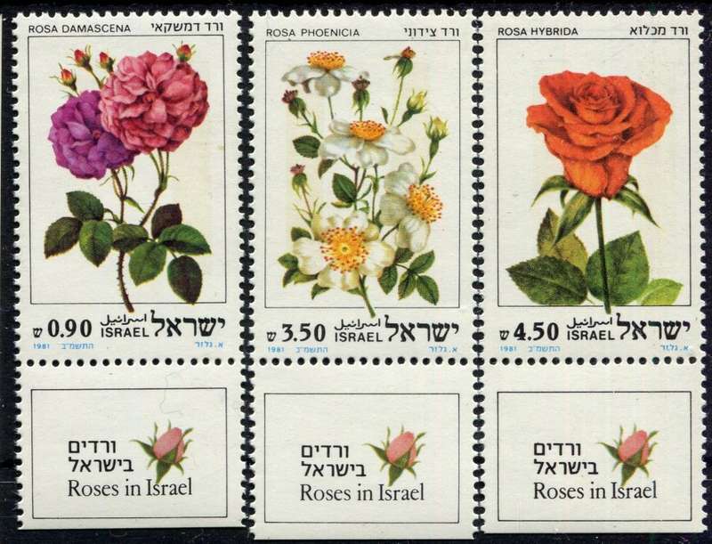 Israel - Flowers - 1981 - MNH