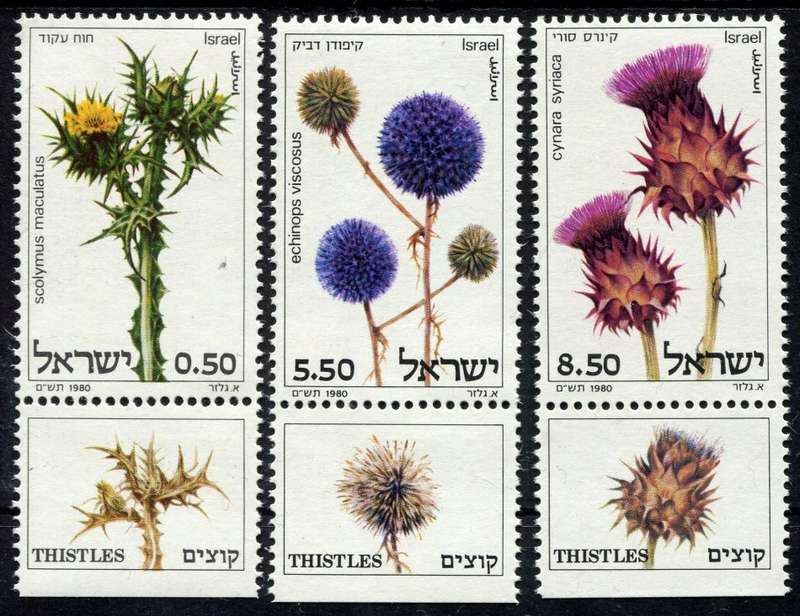 Israel - Flowers - 1980 - MNH
