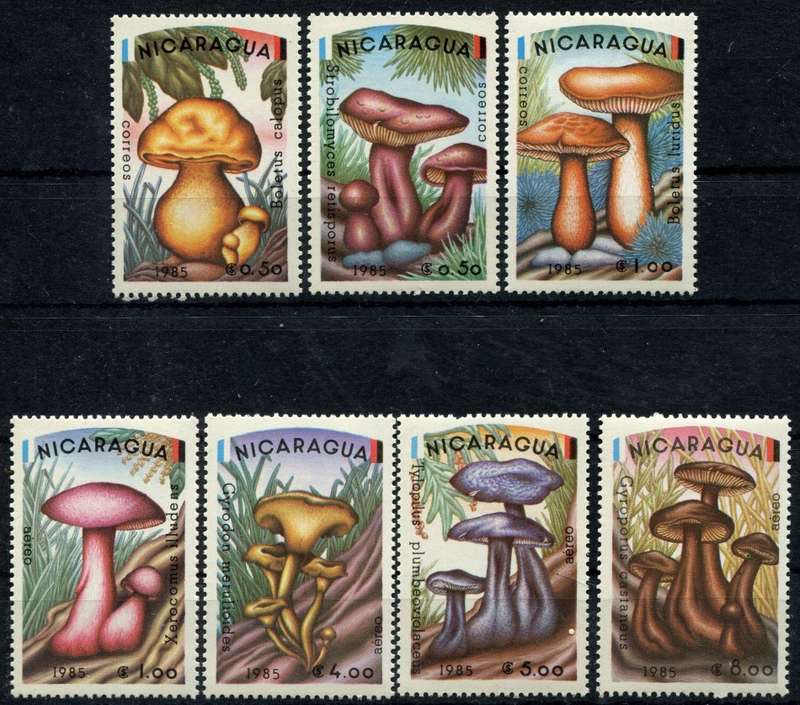 Nicaragua - Fungi - 1985 - MNH
