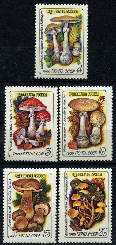 Russia - Fungi - 1986 - MNH