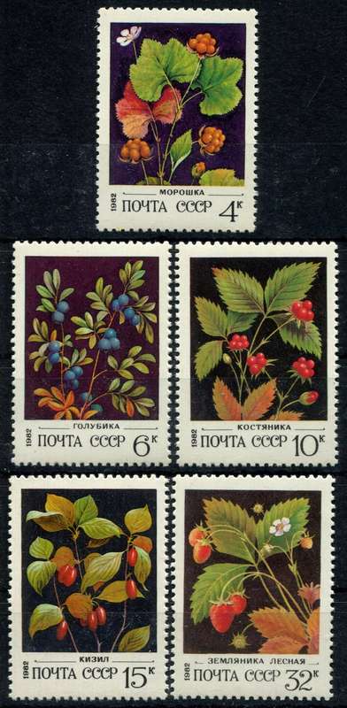 Russia - Fruit - 1982 - MNH