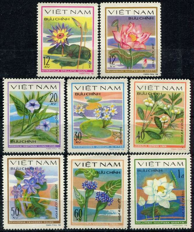 Vietnam - Flowers - 1980 - MNH