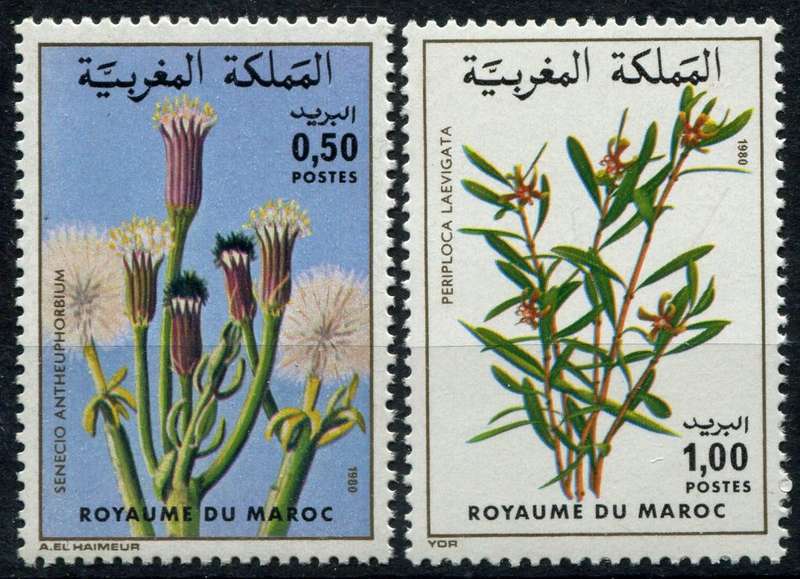 Morocco - Flowers - 1980 - MNH