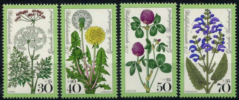 Germany/Federal - Flowers - 1977 - MNH