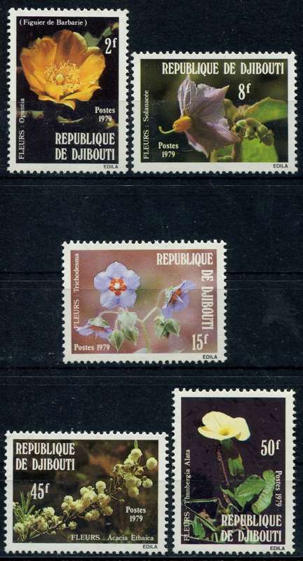 Djibouti - Flowers - 1979 - MNH