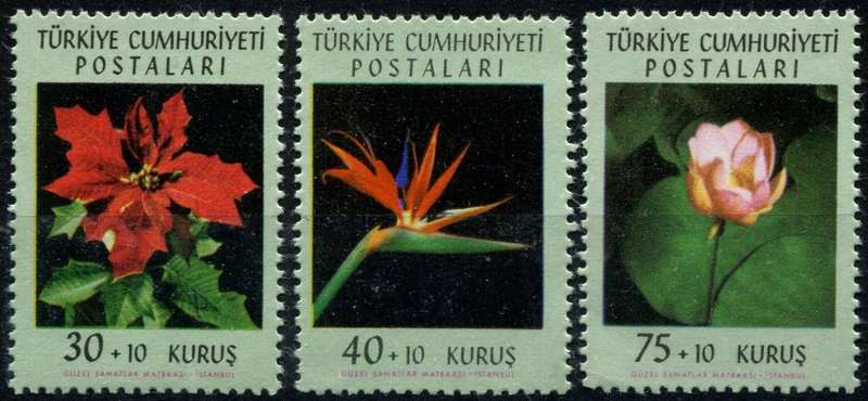 Turkey - Flowers - 1962 - MNH