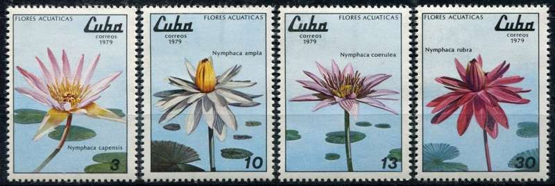 Cuba - Flowers - 1979 - MNH
