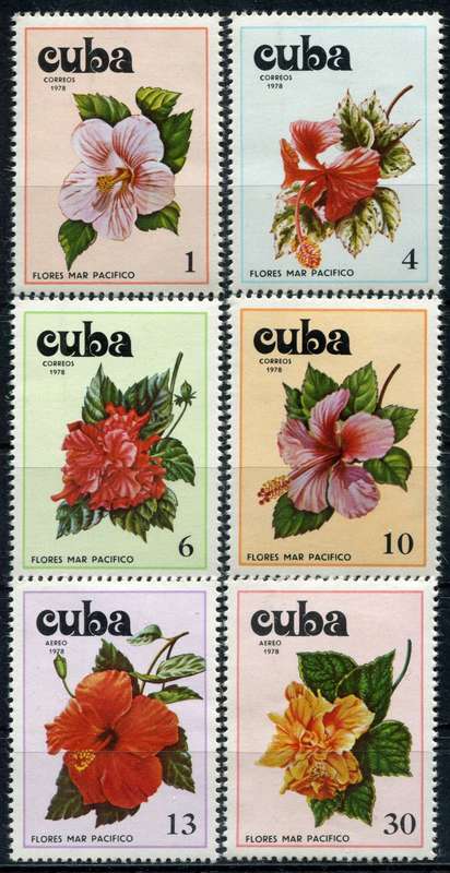 Cuba - Flowers - 1978 - MNH