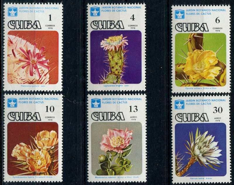 Cuba - Flowers - 1978 - MNH
