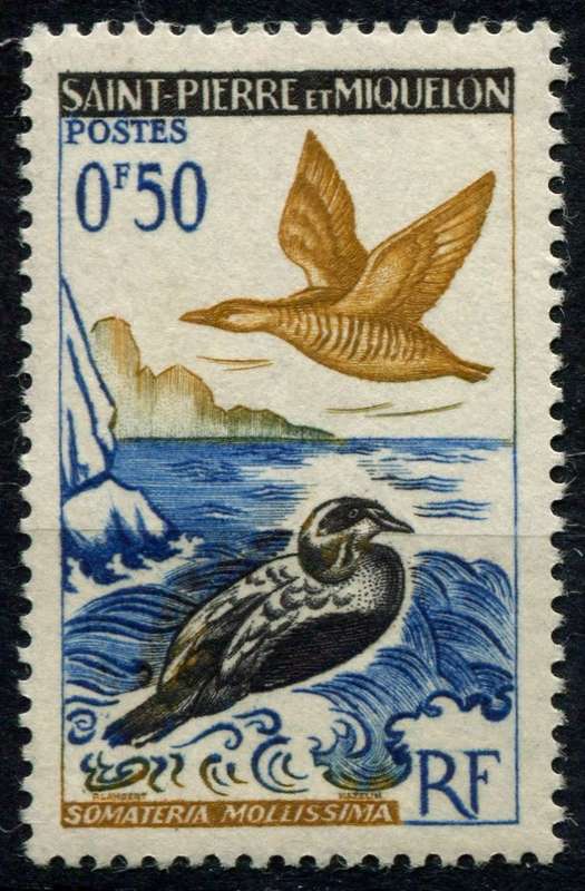 St. Piere Miquelon - Birds - 1963 - MM