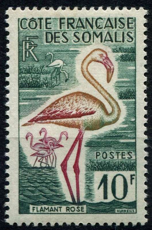 Somalia - Birds - 1958 - MNH