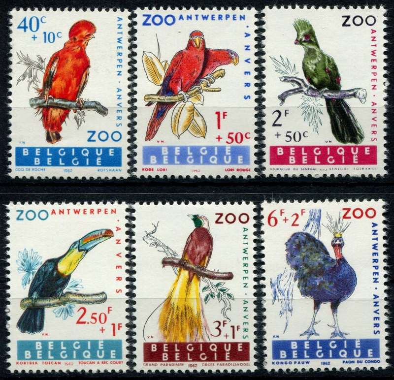 Belgium - Birds - 1962 - MNH