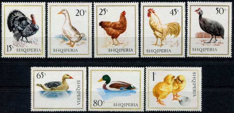 Albania - Birds - 1967 - MNH