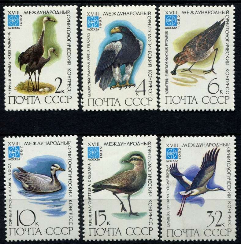 Russia - Birds - 1982 - MNH