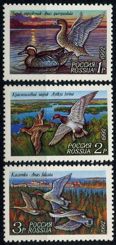 Russia - Birds - 1992 - MNH