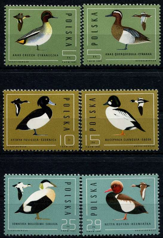 Poland - Birds - 1985 - MNH