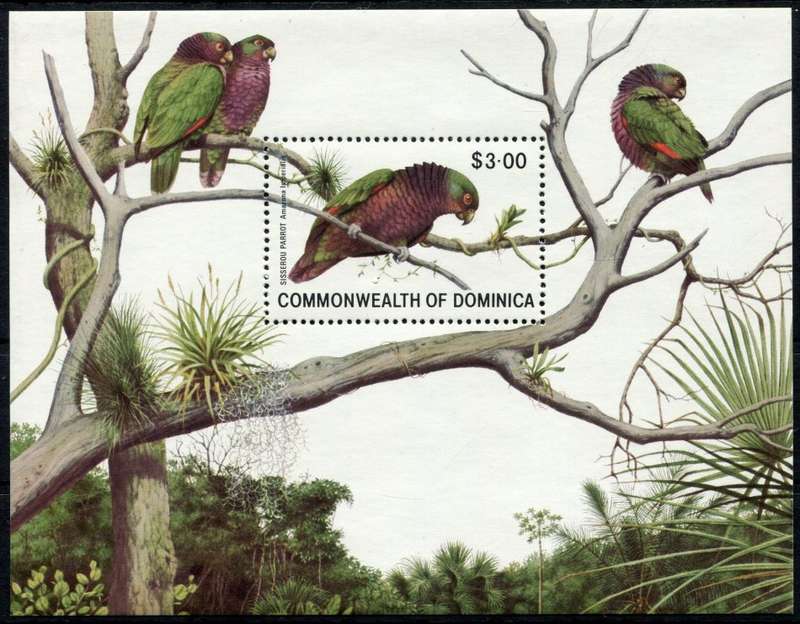 Dominica - Miniature Sheet - Birds - 1981 - MNH
