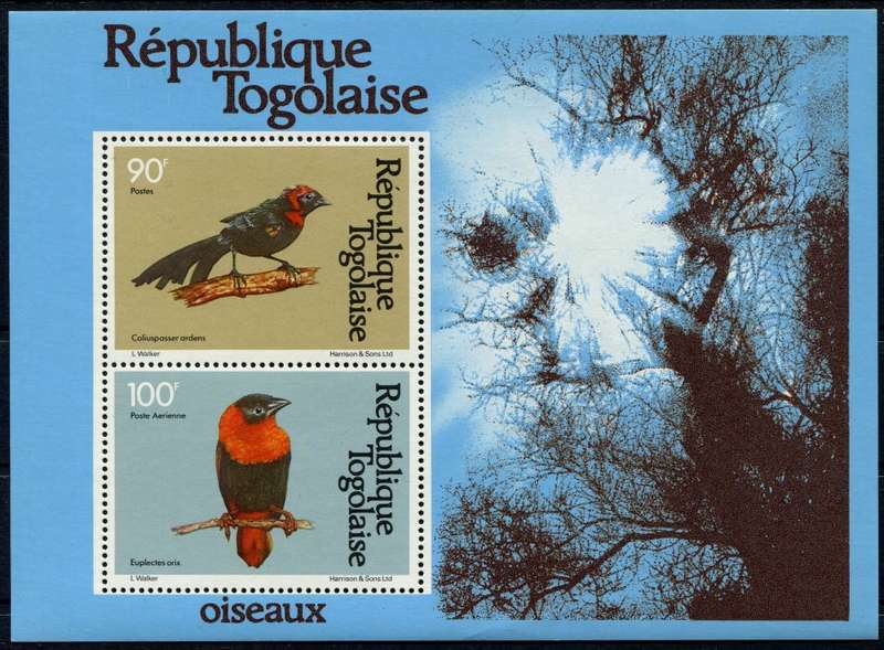 Togo - Miniature Sheet - Birds - 1981 - MNH
