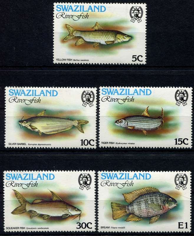 Swaziland - Water Life - Fish - 1980 - MNH