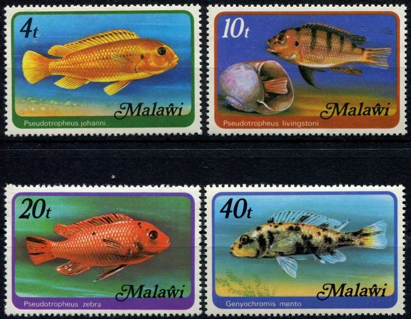 Malawi - Water Life - Fish - 1977 - MNH