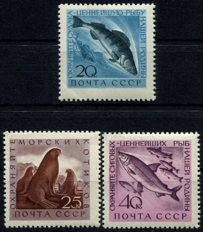 Russia - Water Life - Fish/Mammals - 1959 - MNH
