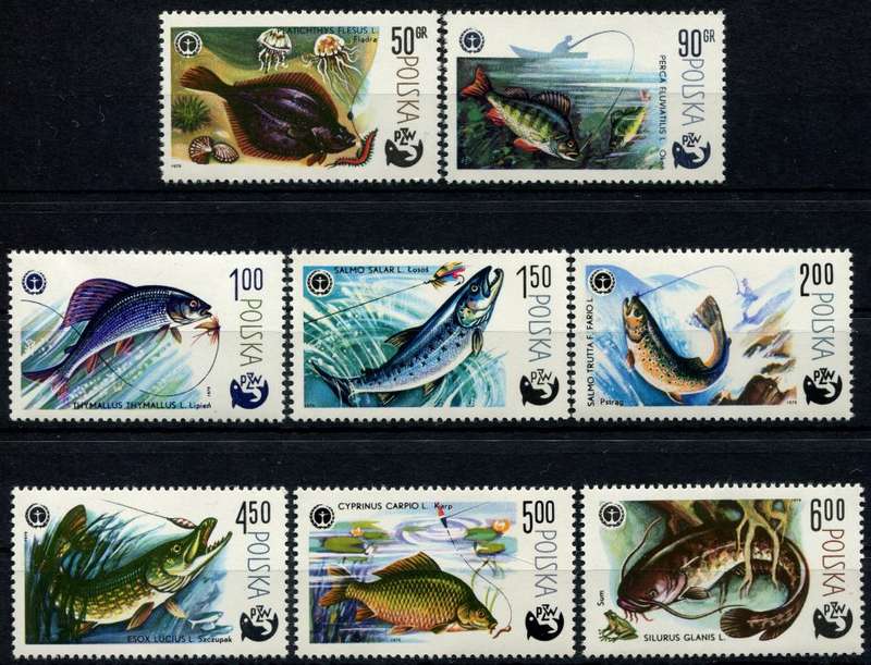 Poland - Water Life - Fish - 1979 - MNH