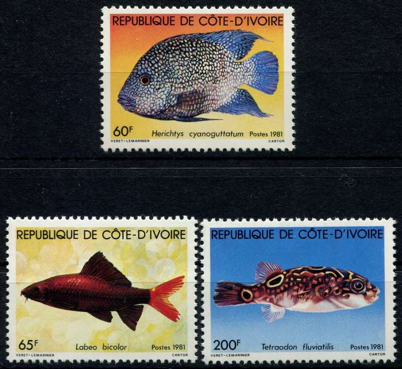 Ivory Coast - Water Life - Fish - 1981 - MNH