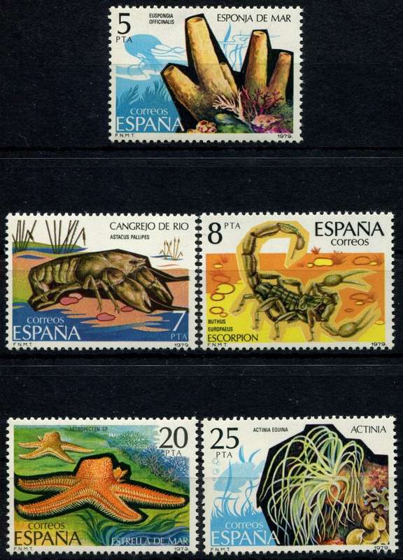 Spain - Land and Water Life - 1979 - MNH