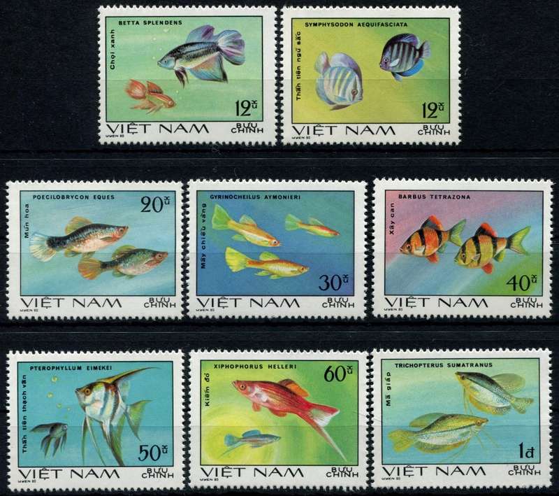Vietnam - Water Life - Fish - 1981 - MNH