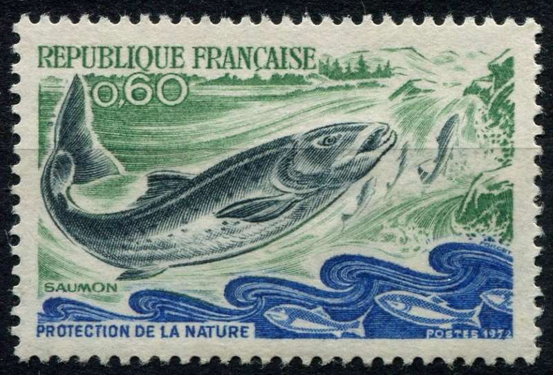 France - Water Life - Fish - 1972 - MNH