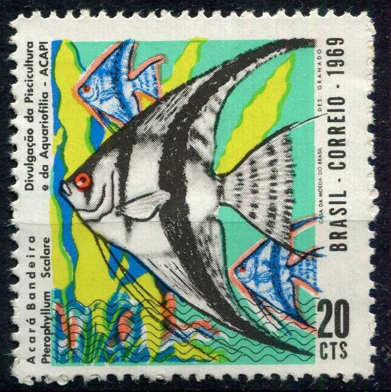 Brazil - Water Life - Fish - 1969 - MNH