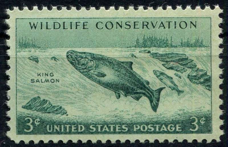 USA - Animals - Fish - 1956 - MNH