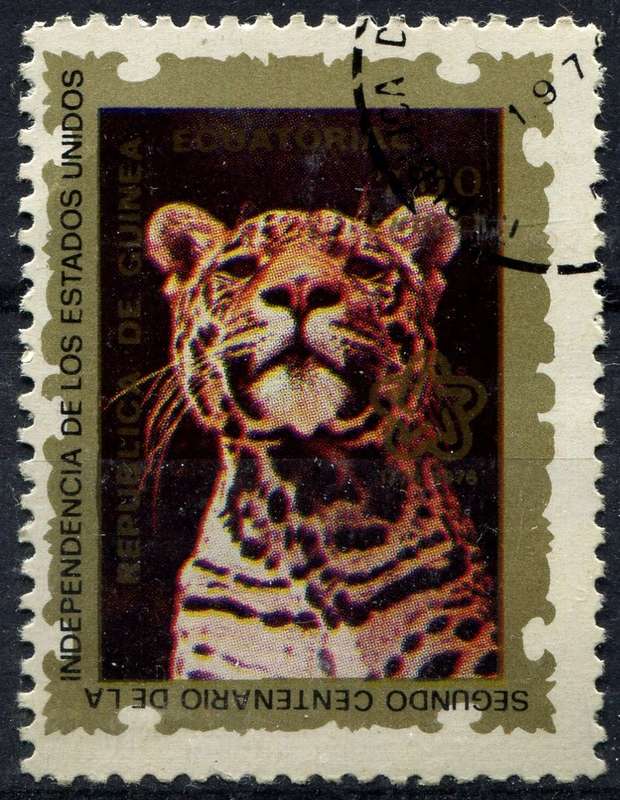 Equatorial Guinea - Big Cats - Used