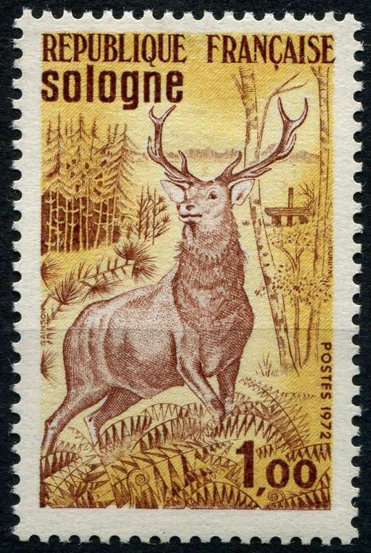 France - Animals - 1972 - MNH